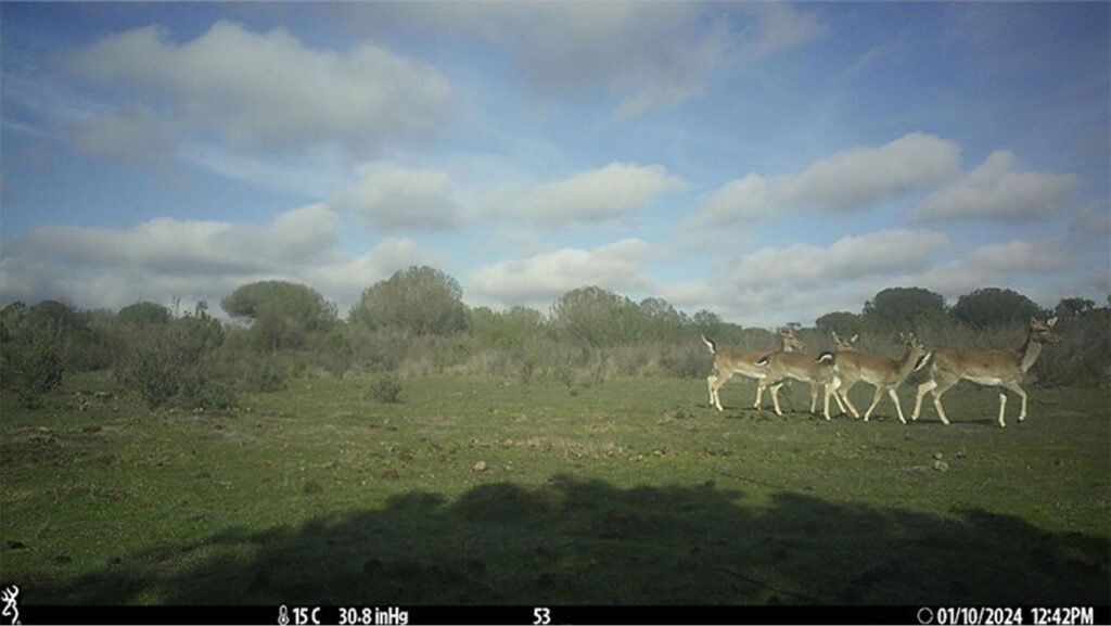 caroussel_WI_0006_Dear_web