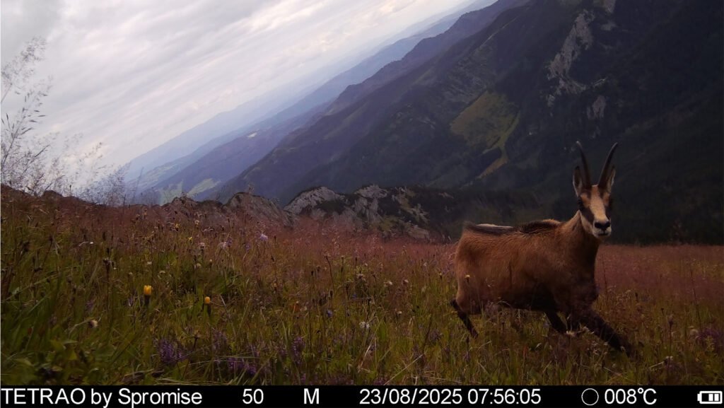 caroussel_WI_0016_IMAG4462