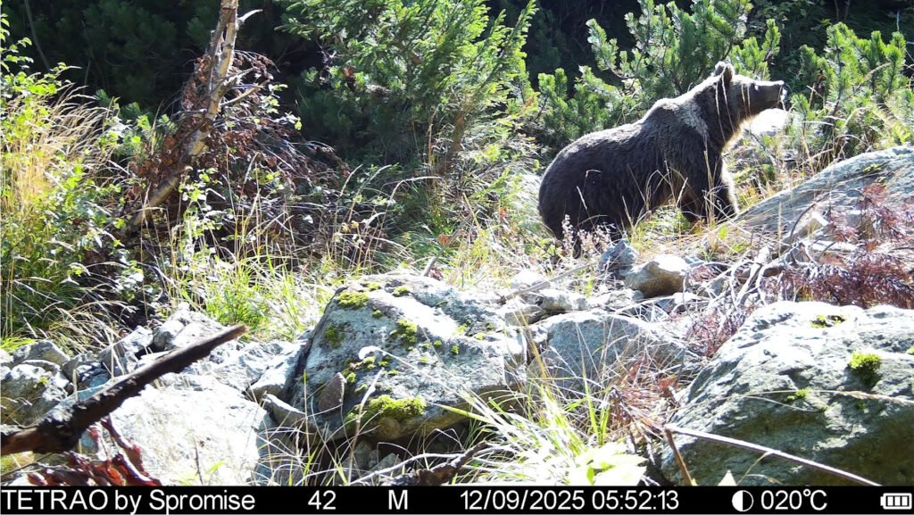 caroussel_WI_0017_IMAG1109