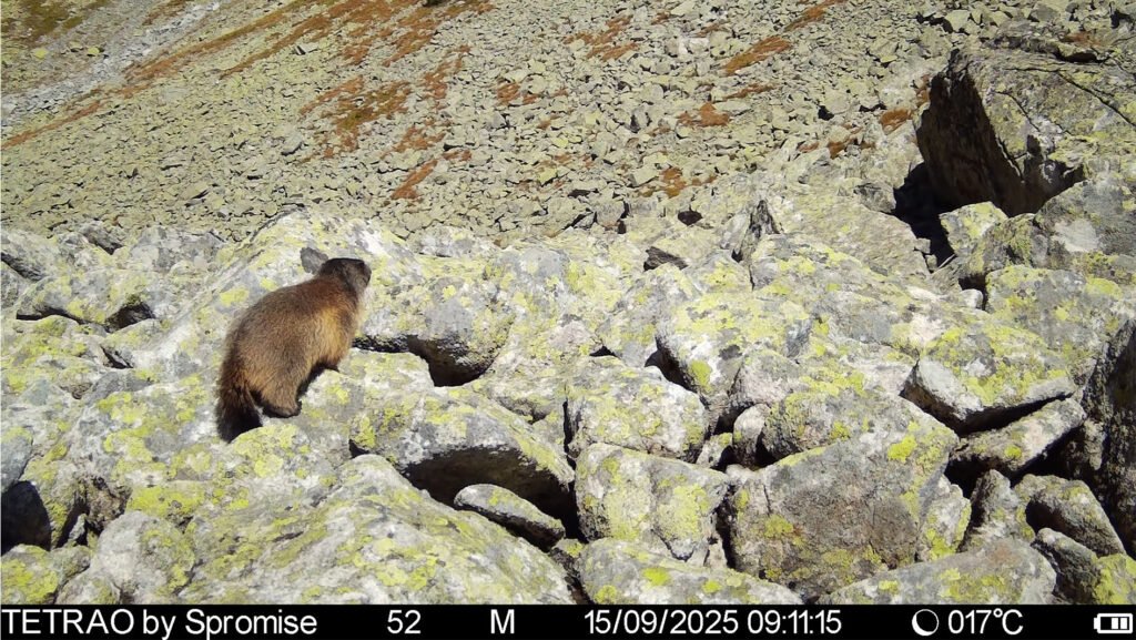 caroussel_WI_0018_IMAG1071