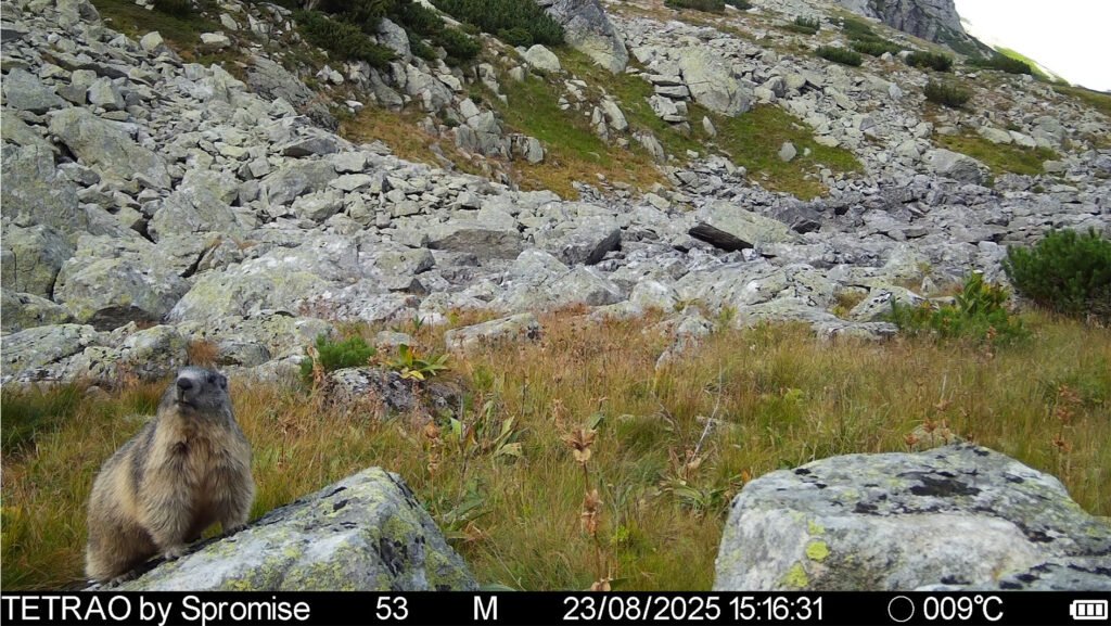 caroussel_WI_0019_IMAG0942