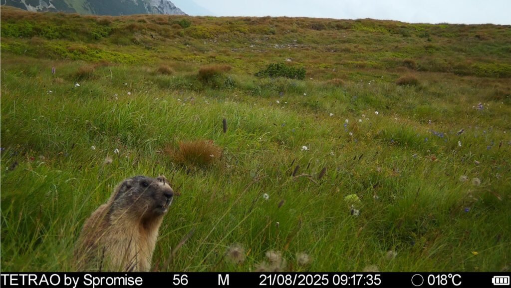 caroussel_WI_0020_IMAG0728