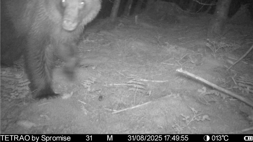 caroussel_WI_0021_IMAG0516