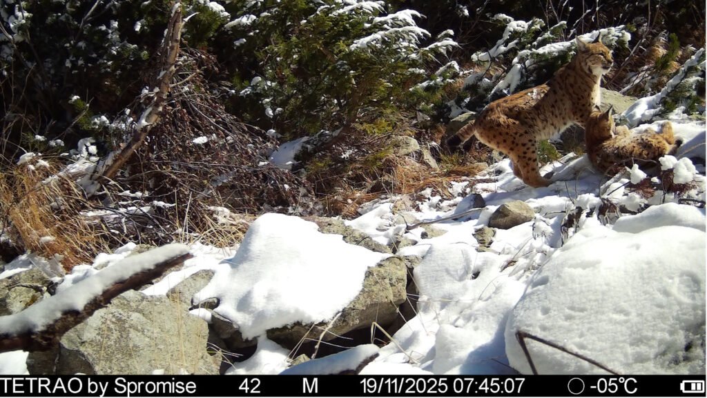 caroussel_WI_0023_IMAG0422