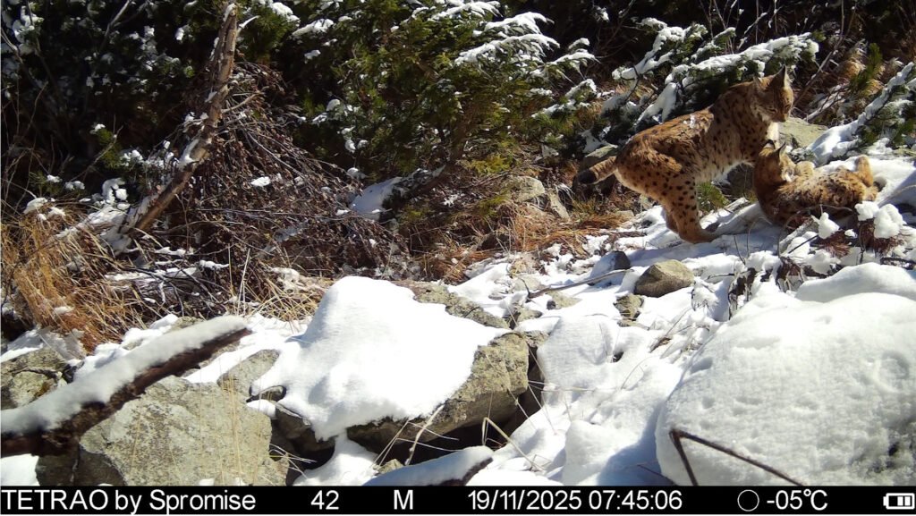 caroussel_WI_0024_IMAG0421