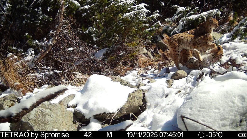 caroussel_WI_0025_IMAG0420