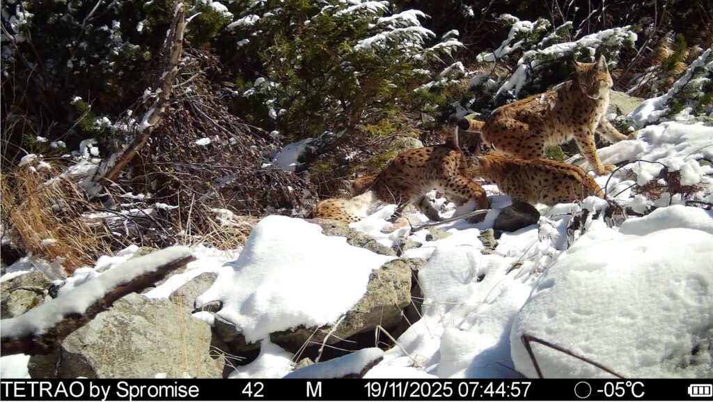 caroussel_WI_0026_IMAG0417