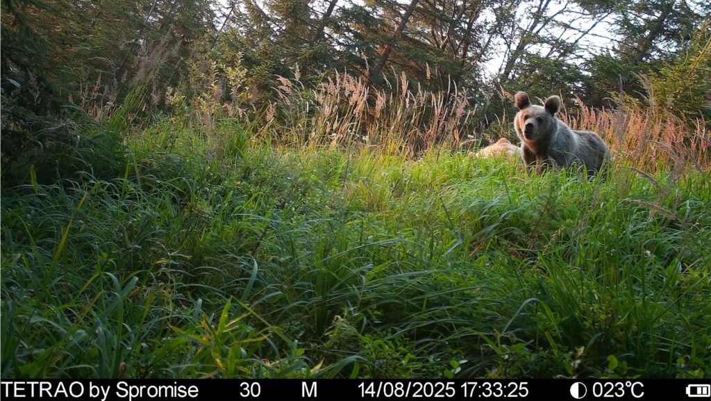 caroussel_WI_0030_IMAG0305