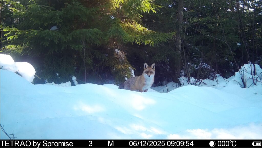 caroussel_WI_0032_IMAG0290