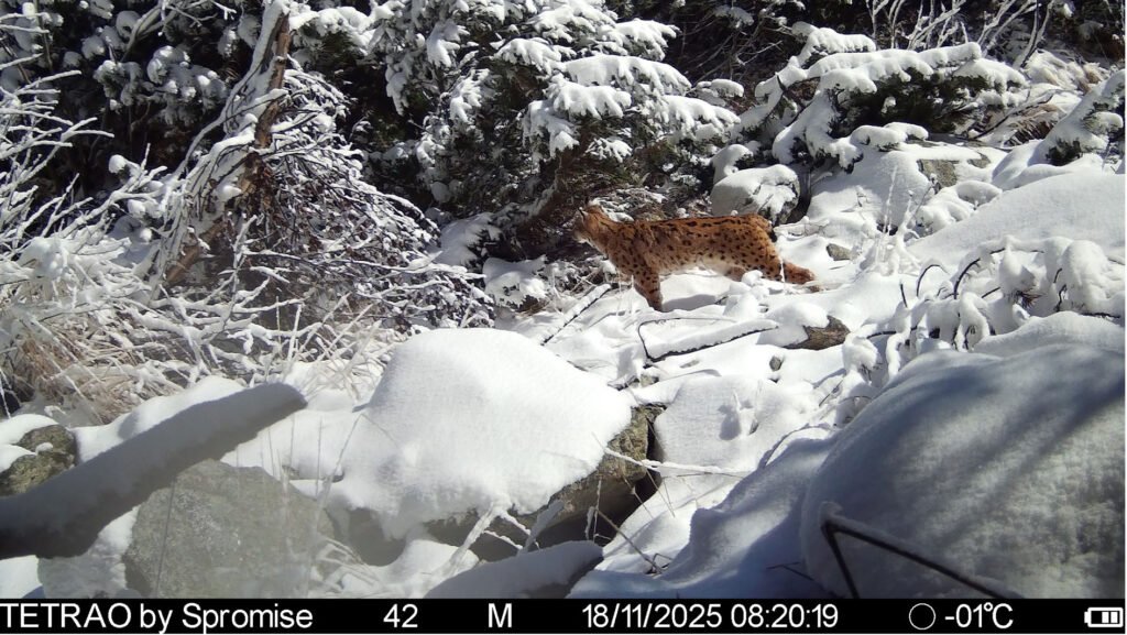 caroussel_WI_0033_IMAG0259