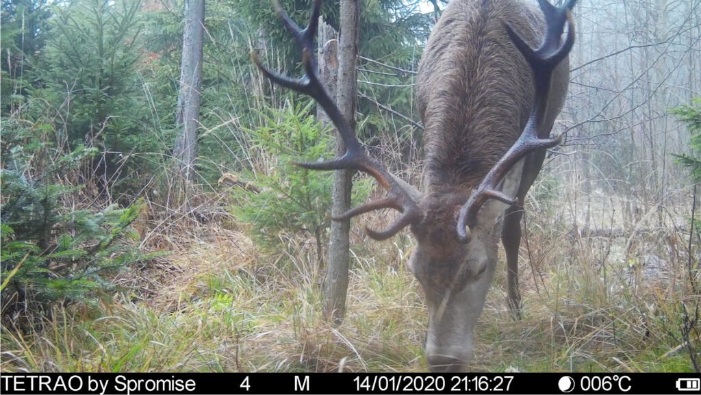 caroussel_WI_0041_IMAG0089