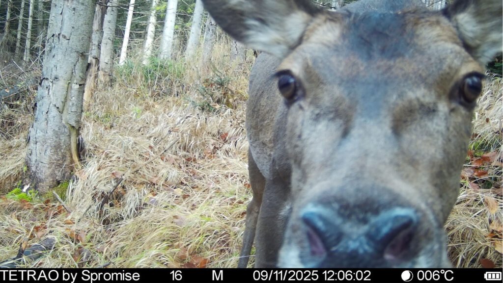 caroussel_WI_0042_IMAG0043