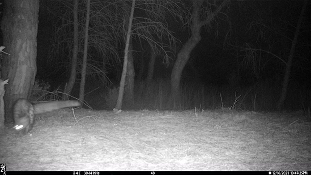 caroussel_WI_0043_Ganet1_web