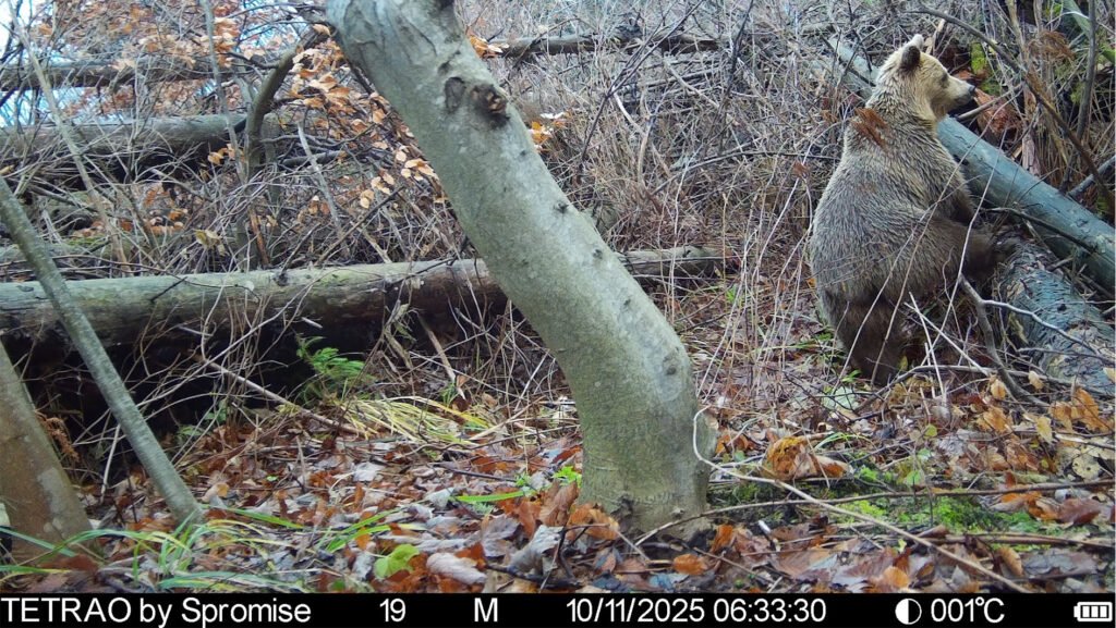 caroussel_WI_0044_IMAG0024