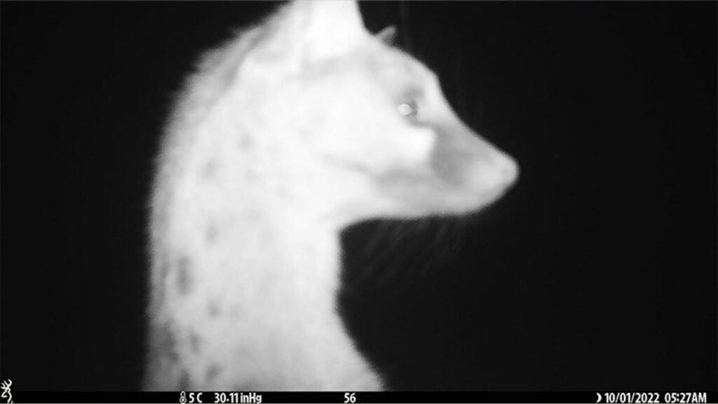 caroussel_WI_0045_Ganet_web